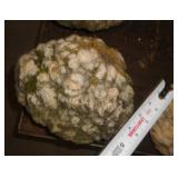 GEODE GEODE