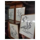 3 WILDLIFE PRINTS / RW 3 WILDLIFE PRINTS / RW