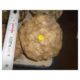 GEODE GEODE