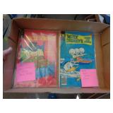 1971 & 78 DISNEY COMIC BOOKS