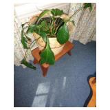 PLANT W STEP STOOL / KDR PLANT W STEP STOOL / KDR
