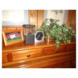 PLANT, LIGHT & ETC / BM PLANT, LIGHT & ETC / BM