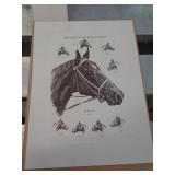 12 X 16 KY DERBY WINNER ART - SECRETARIAT