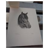 12 X 16 KY DERBY WINNER ART - TIM TAM