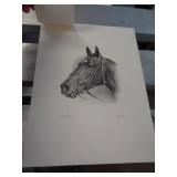 12 X 16 KY DERBY WINNER ART - KAUAI KING