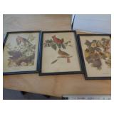 7 - VINTAGE BIRD PRINTS