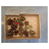 PINE CONES PINE CONES