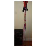 SKI POLES SALOMON / SR US