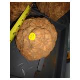GEODE / LW