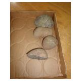 ROCKS