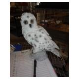 SNOWY OWL FIGURE