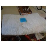 3 - BATH RUGS