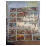 US BOYS TOWN CINDERELLA STAMPS