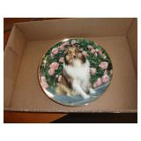 COLLECTOR PLATE