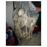 HALLOWEEN SKELETON & DOG SKELETON / B