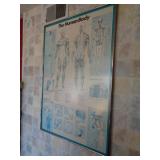 WOMAN OF SCIENCE POSTER / B