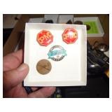 PINS