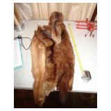 FOX & MINKS / FR FOX & MINKS / FR