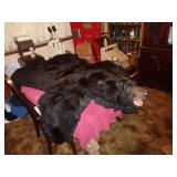 REAL BEARSKIN RUG / DR REAL BEARSKIN RUG / DR