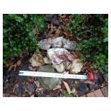 PILE OF UNUSUAL ROCKS / GEODES / BP PILE OF UNUSUAL ROCKS / GEODES / BP