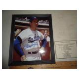 8X10 PHOTO FRAMED / SANDY KOUFAX / W - CERT