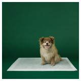 75CT LRG PUPPY PEE PADS