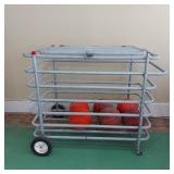BALL CAGE & BASKETBALLS