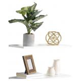 2PK 24X8 FLOATING SHELVES