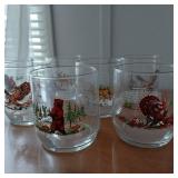 SET WILDLIFE GLASSES