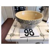 Large spongware bowl