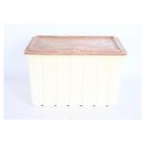 Vintage Plastic Storage Container