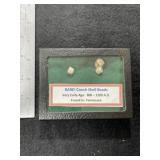 Conch Shell Beads with Riker Frame Indian Artifact
