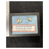 Conch Shell Beads with Riker Frame Indian Artifact