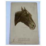 Rare- Dan Patch Harness Horse Postcard 1910
