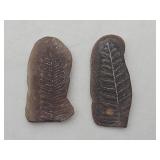 Pecopteris Fossil Leaf Nodule Mazon Creek Illinois