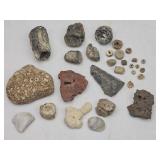 Group of Fossils, Minerals, Rocks