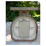 Pelouze Kitchen Scale