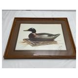 Leonard Fisher Decoy Lithograph Print