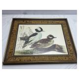 Lee LeBlanc Bufflehead Ducks Print