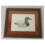 Framed  "Mason Chesapeake Bay Canvas Back" Print