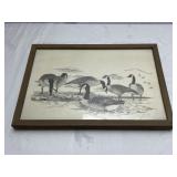 Sonny Bashore Canadian Geese Framed Print