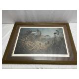 Wyatt Scotch Pond-Pintails Print