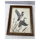 Framed Mallard Print by William Zimmerman