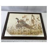 Framed Lithograph "Ring-necked Pheasants" by