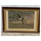 Framed Vintage Duck Print