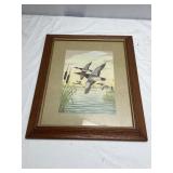 Framed Ralph S. Duck Print