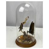 Butterfly Taxidermy Cloche