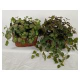 2 Faux Foliage in Baskets