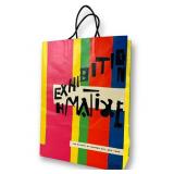 Henri Matisse MoMa Paper Bag 1992
