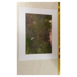 PJ Sanders Print